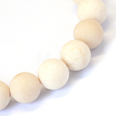 Frosted Natural Fossil Round Bead Strands G-E334-12mm-22-1