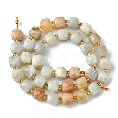 Natural Multi-Moonstone Beads Strands G-Q010-A04-01-1