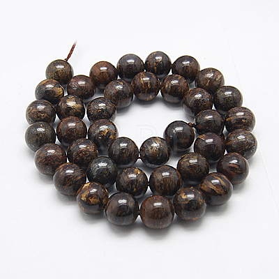 Natural Bronzite Beads Strands G-G212-10mm-42-1