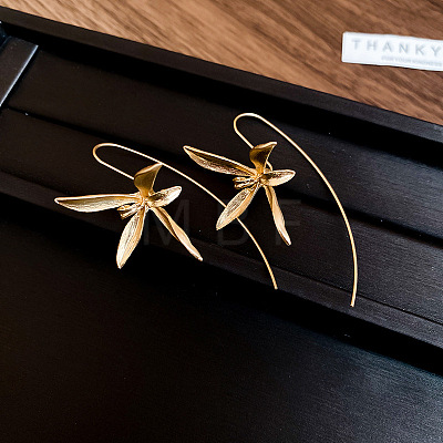 Alloy Dangle Earrings FS-WG88BED-01-1
