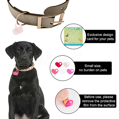 40Pcs 5 Colors Transparent Blank Acrylic Pet Dog ID Tag PALLOY-AB00043-1