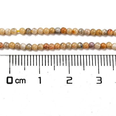 Natural Crazy Agate Bead Strands G-A130-2mm-K10-1
