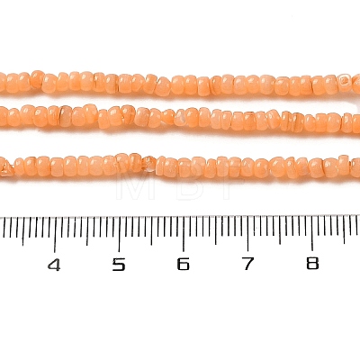 Natural Freshwater Shell Beads Strands SHEL-P017-01B-05-1