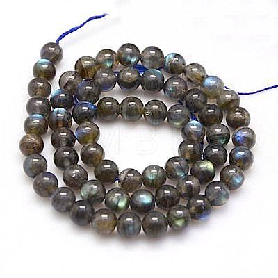 Natural Labradorite Beads Strands G-G448-10mm-04B-1