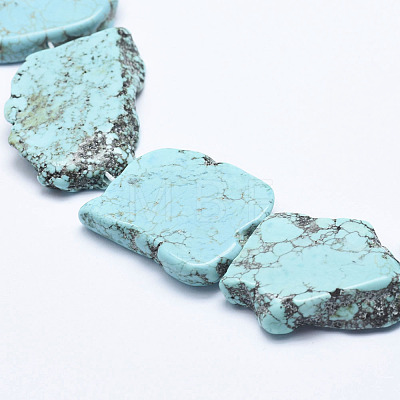 Natural Magnesite Beads Strands G-K244-08-1