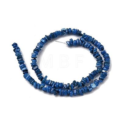 Natural Freshwater Shell Beads SHEL-B003-01M-1