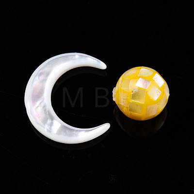 Natural Natural White Shell Beads SSHEL-N032-51-B02-1