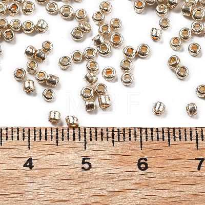 12/0 Electroplate Glass Seed Beads SEED-Q003-1-1