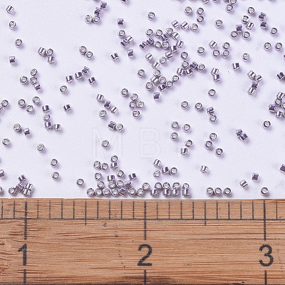 MIYUKI Delica Beads SEED-X0054-DB0419-1