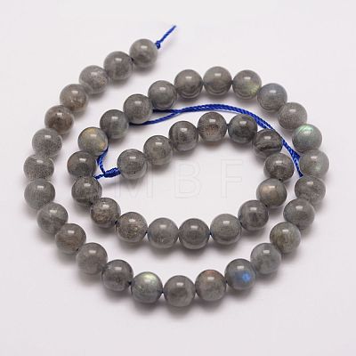 Natural Labradorite Bead Strands G-P259-03-6mm-1