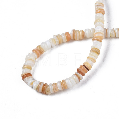 Natural Freshwater Shell Beads Strands X-SHEL-S278-067G-1