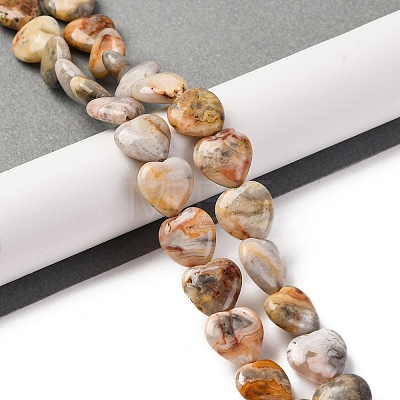 Natural Crazy Agate Beads Strands G-I372-A08-02-1