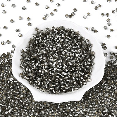 Silver Lined Glass Seed Beads SEED-T007-18A-04-1