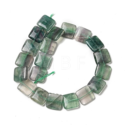 Natural Fluorite Beads Strands G-L253-14-1