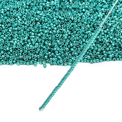 MIYUKI Delica Beads X-SEED-J020-DB2506-1