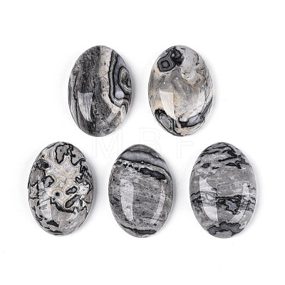 Natural Map Stone Cabochons G-T144-75-1