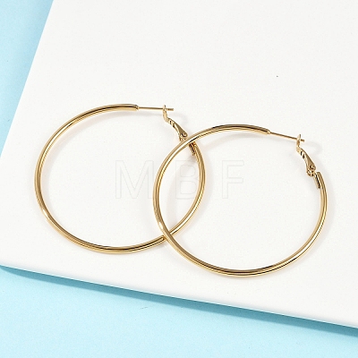 201 Stainless Steel Hoop Earrings LS-EJEW-F188-24G-C-1
