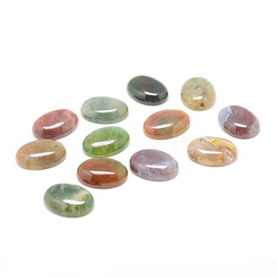 Natural Indian Agate Gemstone Cabochons G-T020-10x14mm-27-1