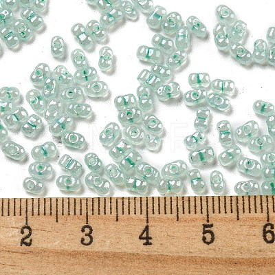 Ceylon Glass Seed Beads SEED-K009-02B-26-1