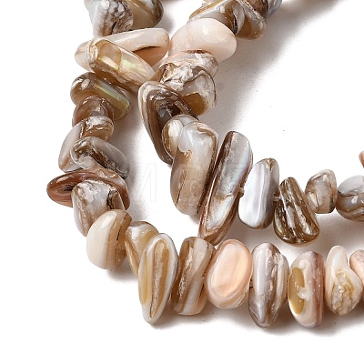Natural Freshwater Shell Beads Strands SHEL-A006-05-1