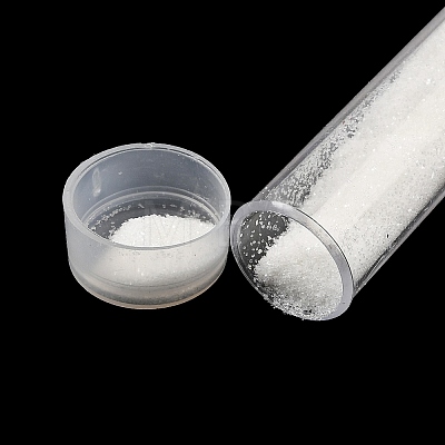 Plastic Glitter Powder Fillers LS-AJEW-H144-01C-1