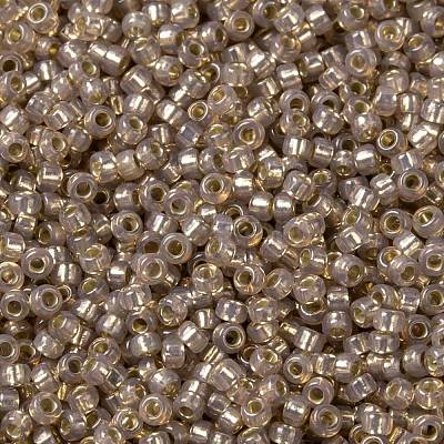MIYUKI Round Rocailles Beads X-SEED-G009-RR2359-1