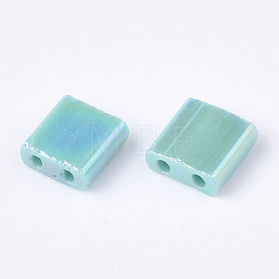 2-Hole Glass Seed Beads X-SEED-S023-19C-01-1