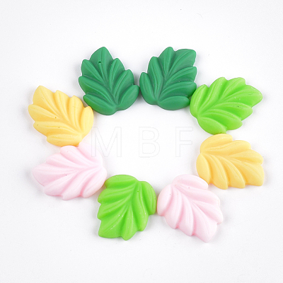Resin Cabochons CRES-T010-24-1