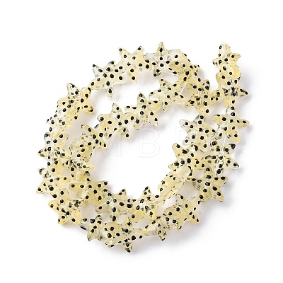Handmade Lampwork Beads Strands LAMP-I027-09G-1