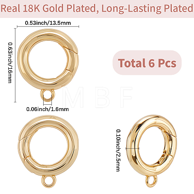 6Pcs Brass Spring Gate Clasps KK-SC0006-42G-02-1