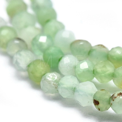 Natural Chrysoprase Beads Strands G-P438-C01-2mm-1