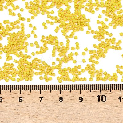 MIYUKI Delica Beads X-SEED-J020-DB2284-1