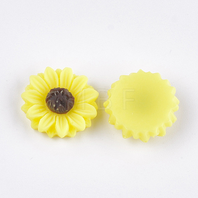 Resin Cabochons X-CRES-T010-60J-1