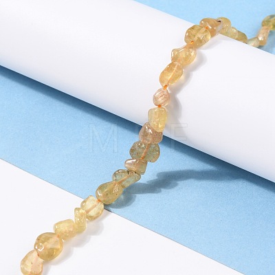 Natural Yellow Apatite Beads Strands G-G018-20-1