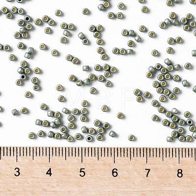 TOHO Round Seed Beads SEED-XTR11-PF0565F-1