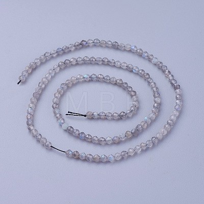 Natural Labradorite Beads Strands LS-G-F619-15-3mm-1