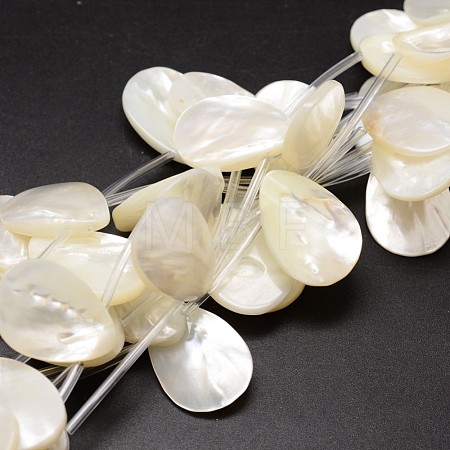 Natural Trochid Shell/Trochus Shell Beads Strands X-SSHEL-K009-12-1