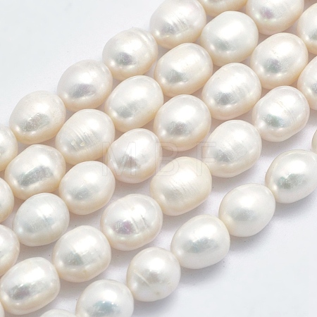 Natural Cultured Freshwater Pearl Beads Strands PEAR-K003-26B-1