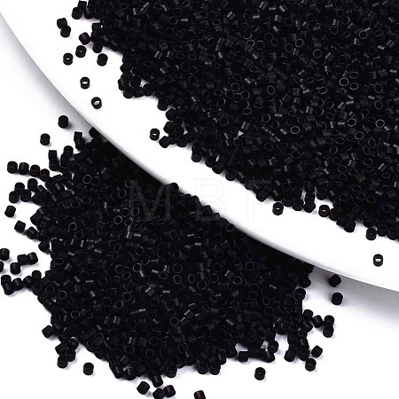 FGB 11/0 Grade A Glass Seed Beads X-SEED-S030-0049F-1