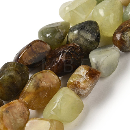 Natural Xiuyan Jade Beads Strands G-B078-D19-04-1
