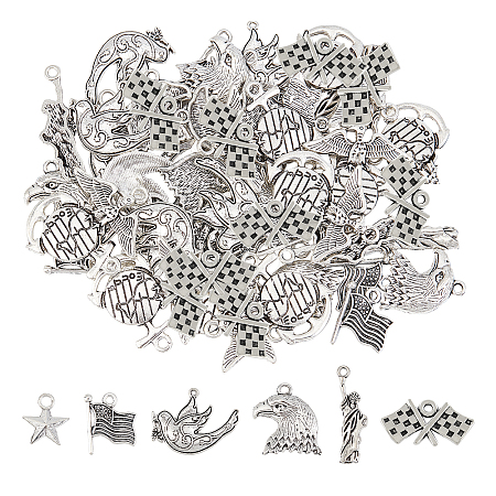 60Pcs 6 Style Independence Day Theme Tibetan Style Zinc Alloy Pendants TIBEP-SC0002-05-1