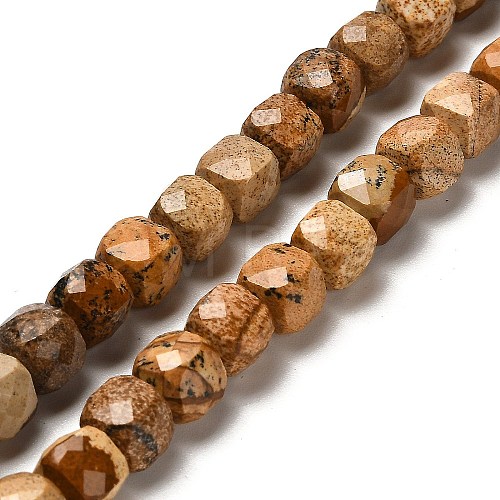 Natural Picture Jasper Beads Strands G-H078-C14-01-1