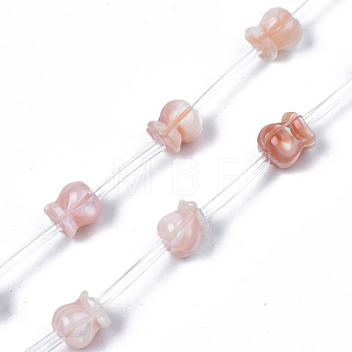 Natural Pink Shell Beads Strands SSHEL-S278-127-1