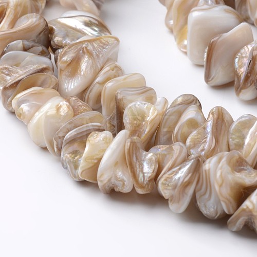 Natural Freshwater Shell Bead Strands X-BSHE-O016-05-1