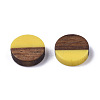 Resin & Wood Cabochons RESI-S358-70-H34-2