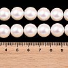Electroplated Glass Pearl Graduated Beads Strands BSHE-C011-03A-5