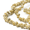 Natural Spiral Shell Beads Strands X-BSHE-I011-11A-3