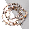 Natural Botswana Agate Beads Strands G-I283-A05-01-4