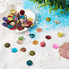 Craftdady 100Pcs 10 Colors Spray Paint Natural Akoya Shell Pendants SHEL-CD0001-01-12