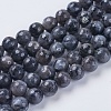 Natural Larvikite Beads Strands LS-G-G542-8mm-27-1